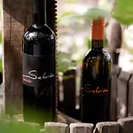 Saxida Wine & Pitches Κάμπινγκ Dornberk