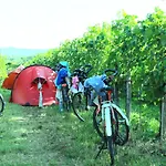 Saxida Wine & Pitches