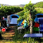 Kamp alanı Saxida Wine & - Dornberk