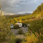 Saxida Wine & Pitches