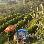 Saxida Wine & Pitches