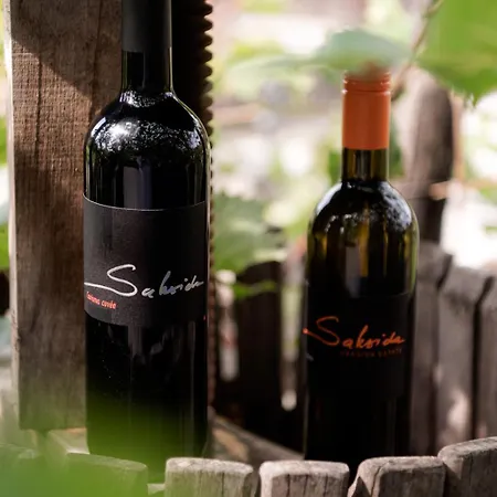 Saxida Wine & - Kamp Dornberk