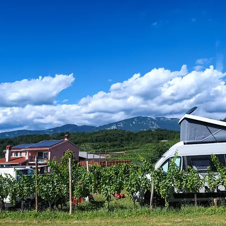 Saxida Wine & Pitches Dornberk