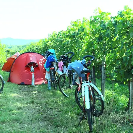 Saxida Wine & Pitches