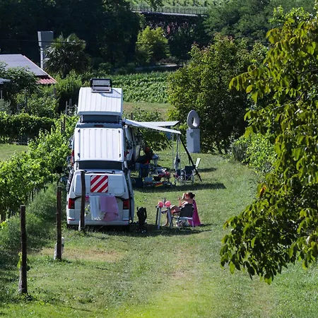 Camping Saxida Wine & Pitches