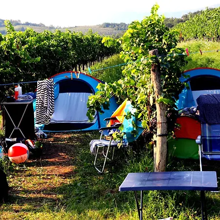 キャンプ場 Saxida Wine & Pitches Dornberk