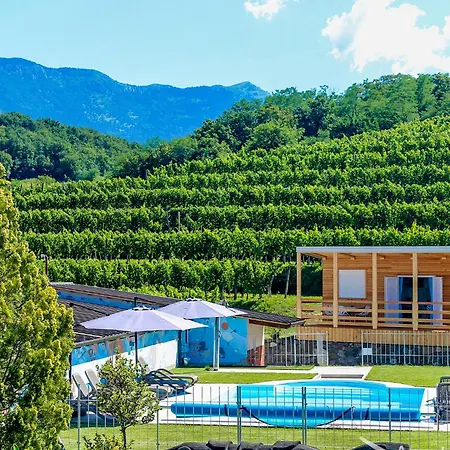 Saxida Wine & Pitches