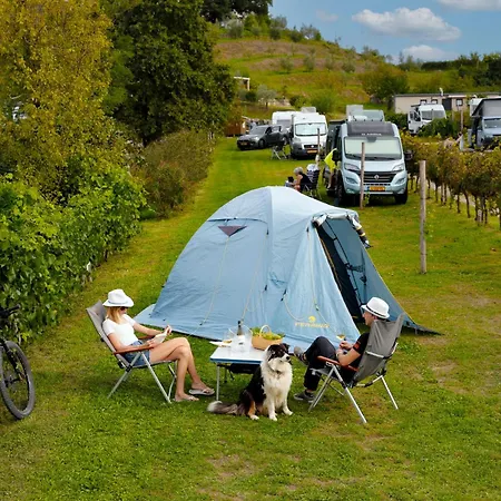 Camping Saxida Wine & Pitches Dornberk