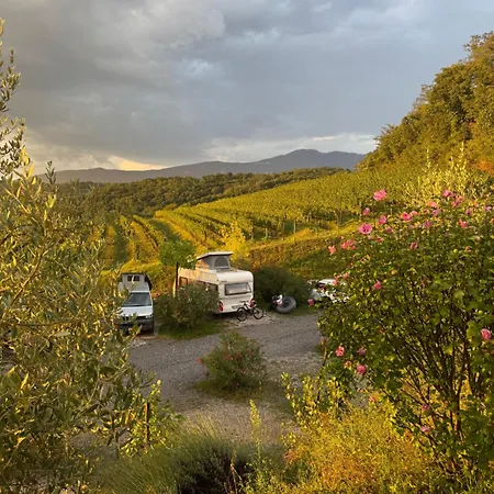 Saxida Wine & -