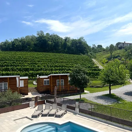 Kamp Saxida Wine & -