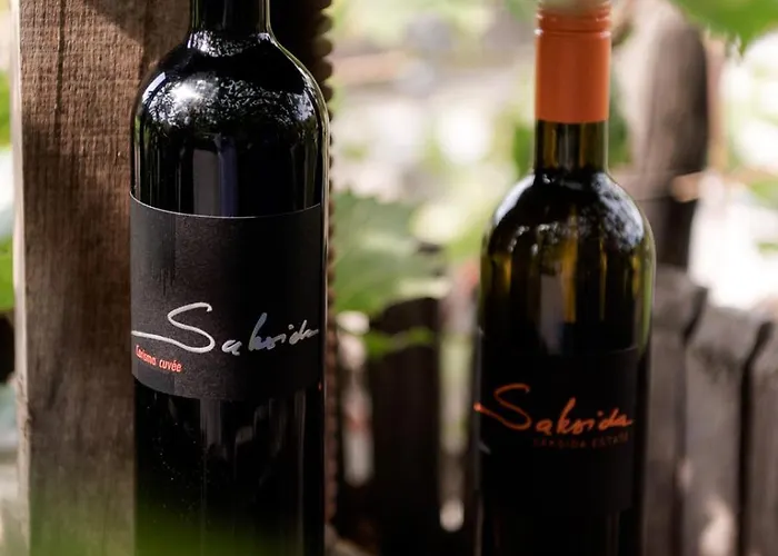 Saxida Wine & Pitches Campeggio Dornberk