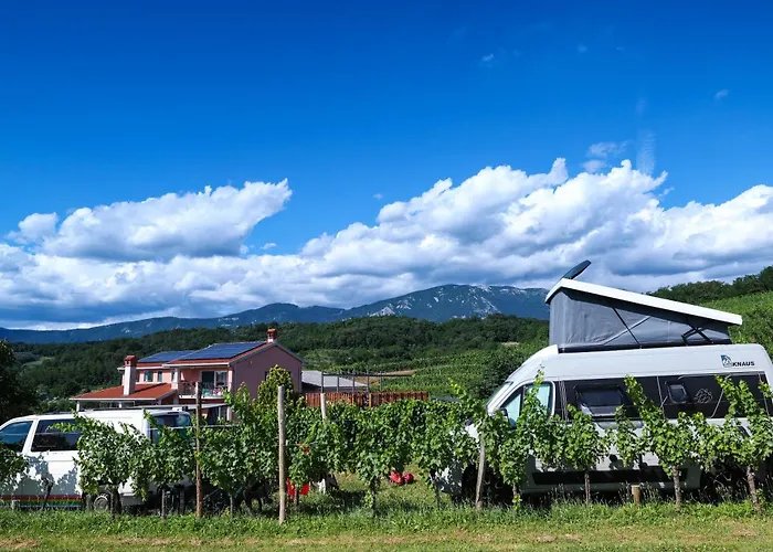 Saxida Wine & Pitches Dornberk