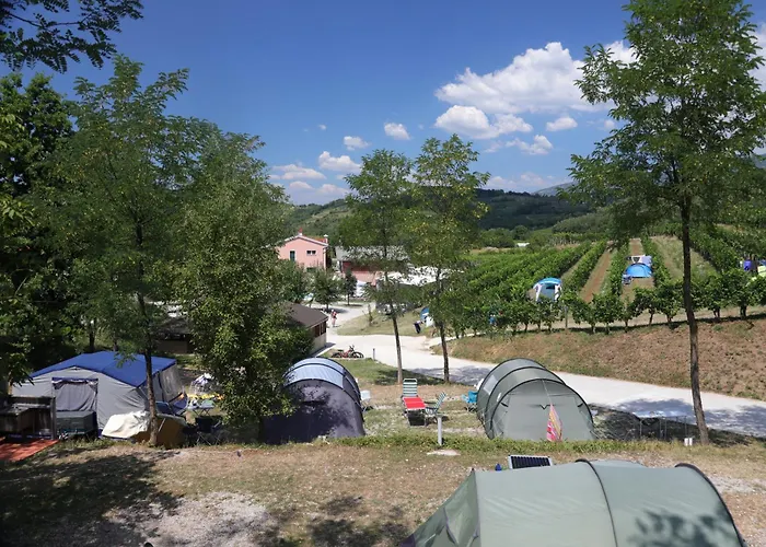 Saxida Wine & Pitches *