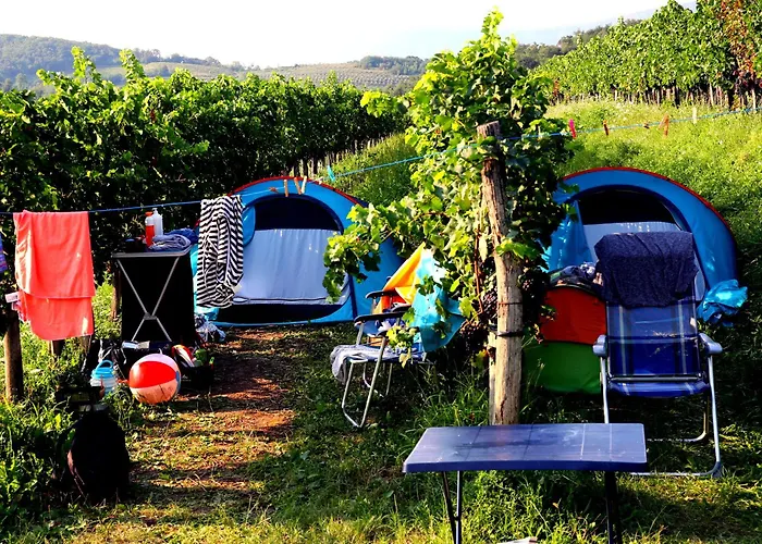 Campeggio Saxida Wine & Pitches Dornberk