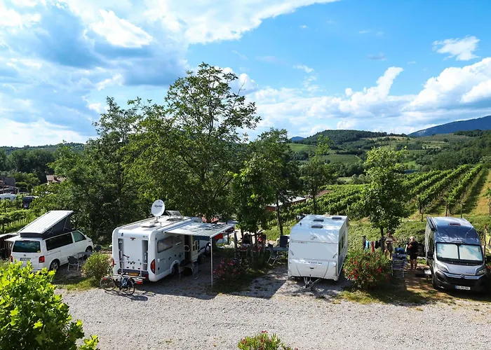 Saxida Wine & Pitches Camping *