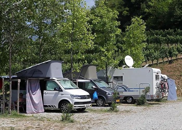 Saxida Wine & Pitches Camping *