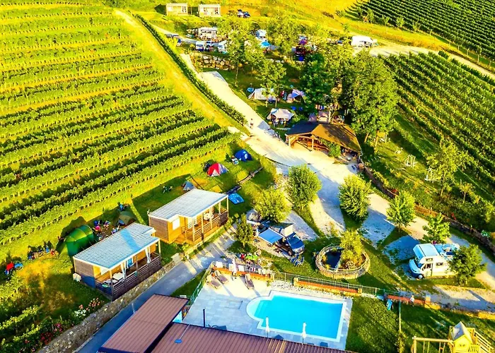 Saxida Wine & Pitches Camping