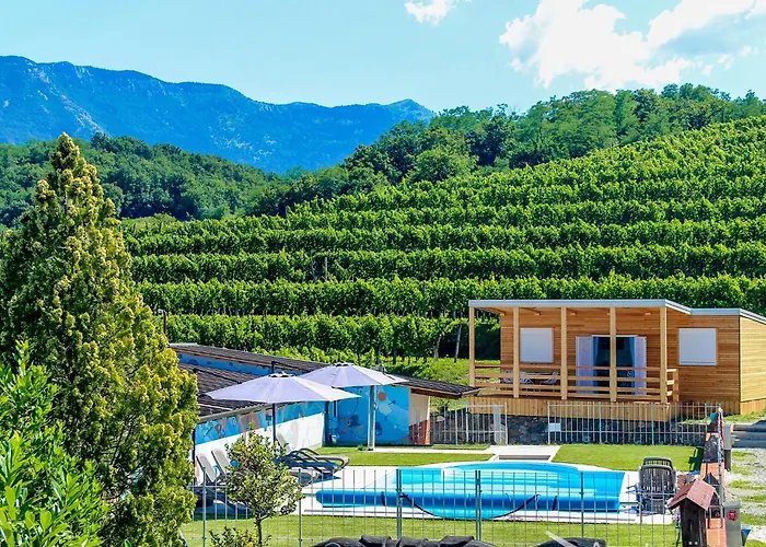 Saxida Wine & Pitches