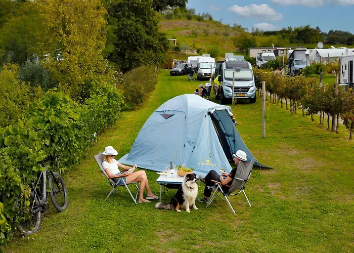 Camping Saxida Wine & Pitches Dornberk