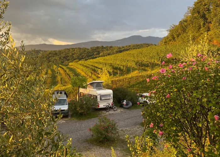 Saxida Wine & Pitches