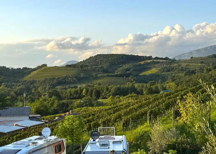 Saxida Wine & Pitches Campeggio *