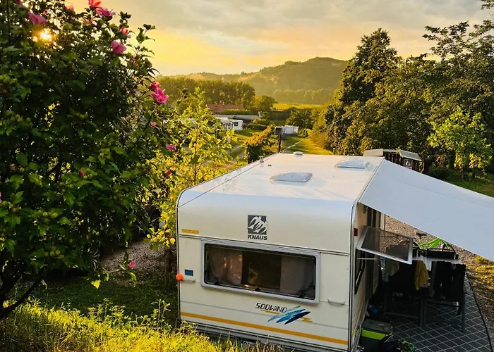 Camping Saxida Wine & Pitches Dornberk