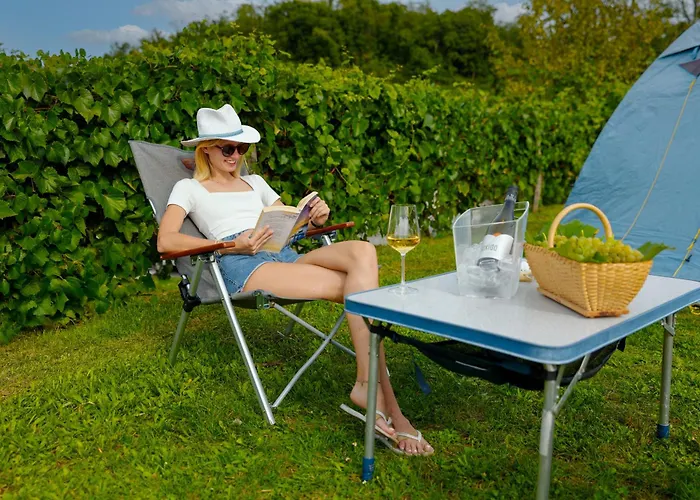 Saxida Wine & Pitches Camping