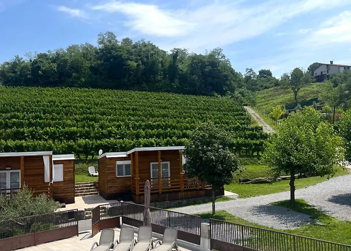 Camping Saxida Wine & Pitches